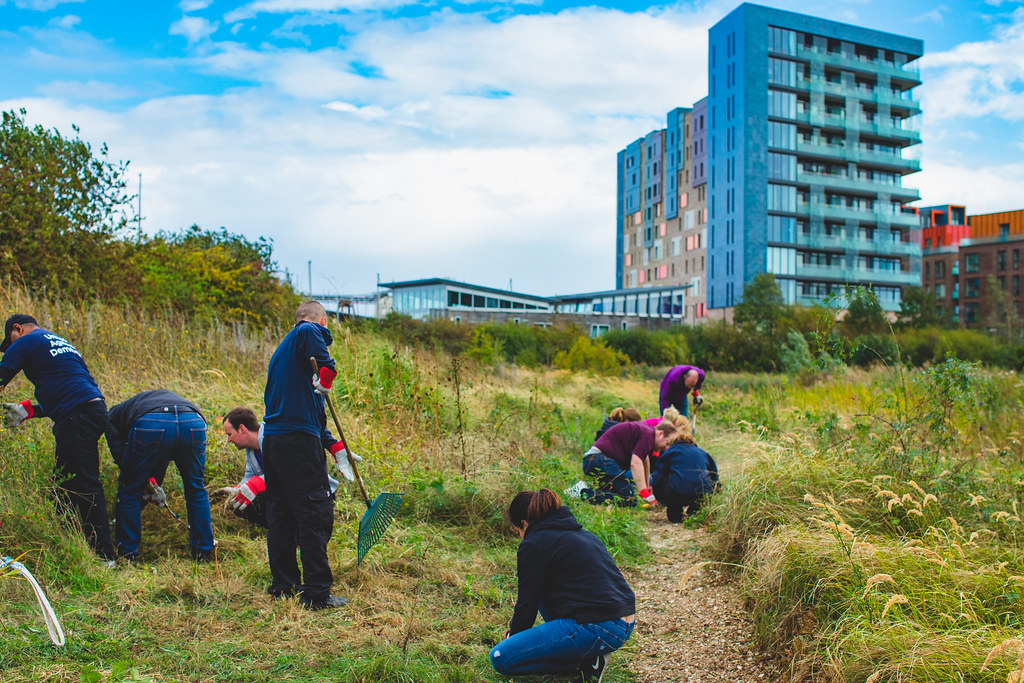 30176234387_b8af804d3e_b