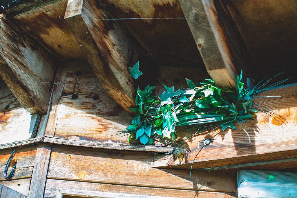 43300511460_de5ae3621c_b