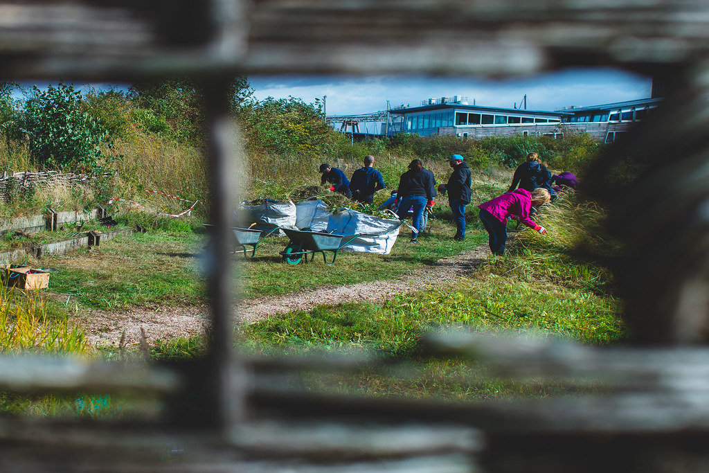 43300516780_3bc970ca70_b