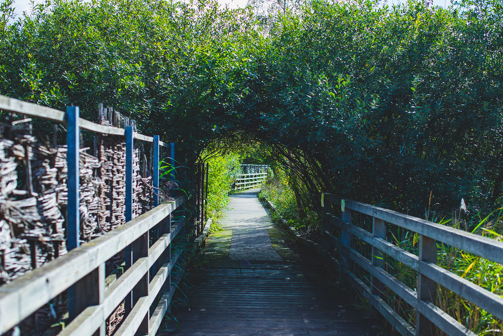 45064931982_9e9bde9da3_b