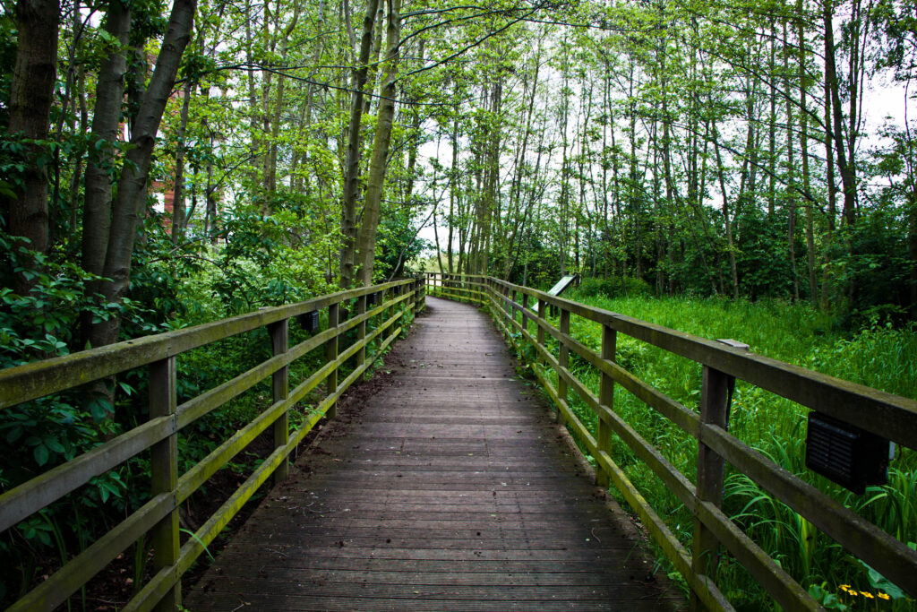 7215380578_cc588ea78e_o